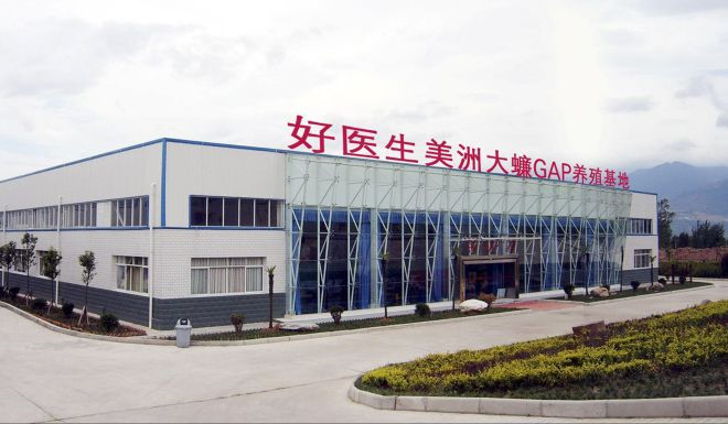 Trang[-]trại[-]nuôi[-]gián[-]lớn[-]nhất[-]thế[-]giới[-]ở[-]Trung[-]Quốc